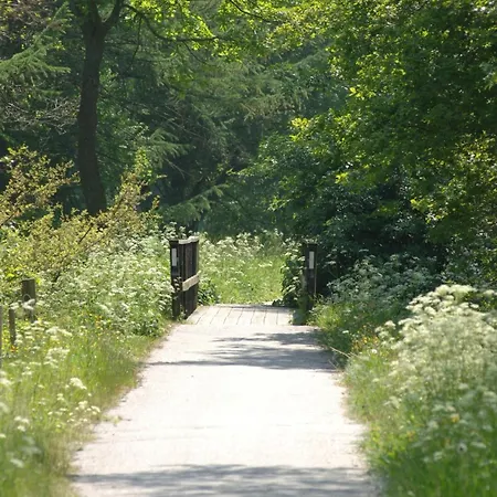 מלון Vingsted & Konferencecenter 3*