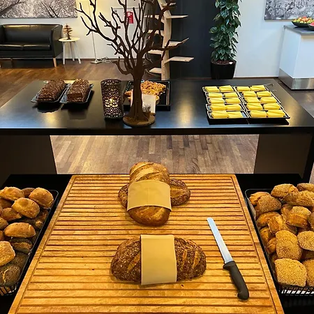 Vingsted Hotel&konferencecenter Hotell