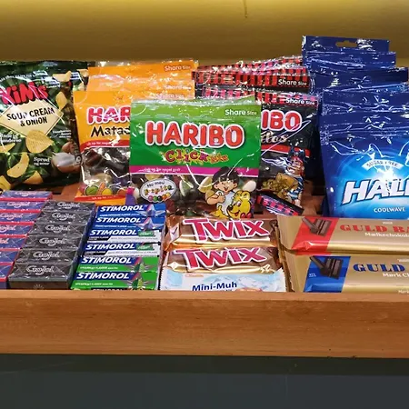 Vingsted & Konferencecenter מלון