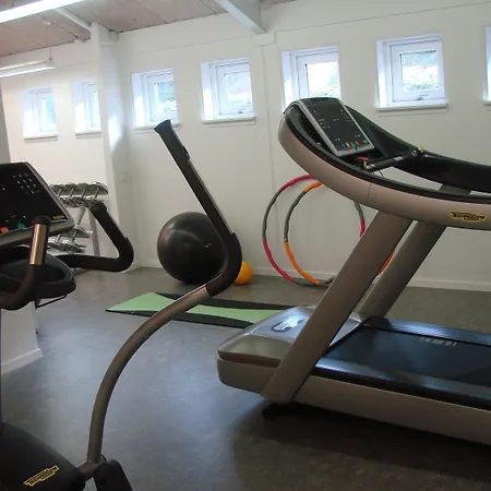 Hotel Vingsted & Konferencecenter 3*