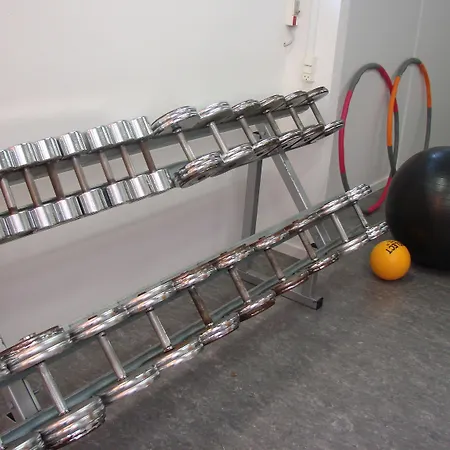 Vingsted & Konferencecenter מלון 3*