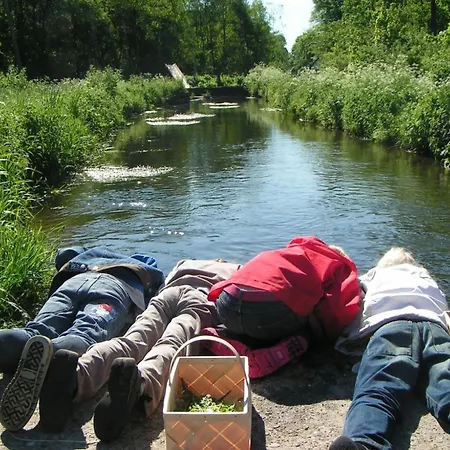 Hotel Vingsted & Konferencecenter Bredsten (Velje)