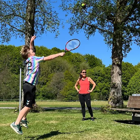 מלון Vingsted & Konferencecenter 3*