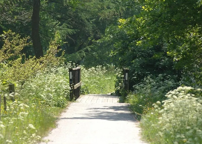 Hotel Vingsted & Konferencecenter 3*